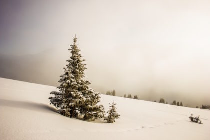 aQNy0za7x0k-lionello-delpiccolo-unsplash